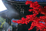 清凉寺 紅葉と光芒射す本堂