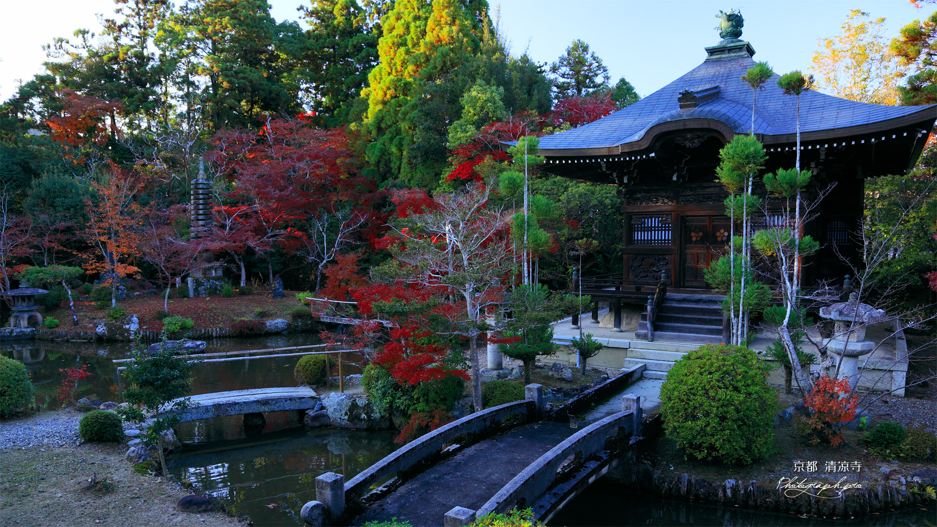 清凉寺庭園の紅葉