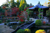 清凉寺庭園の紅葉