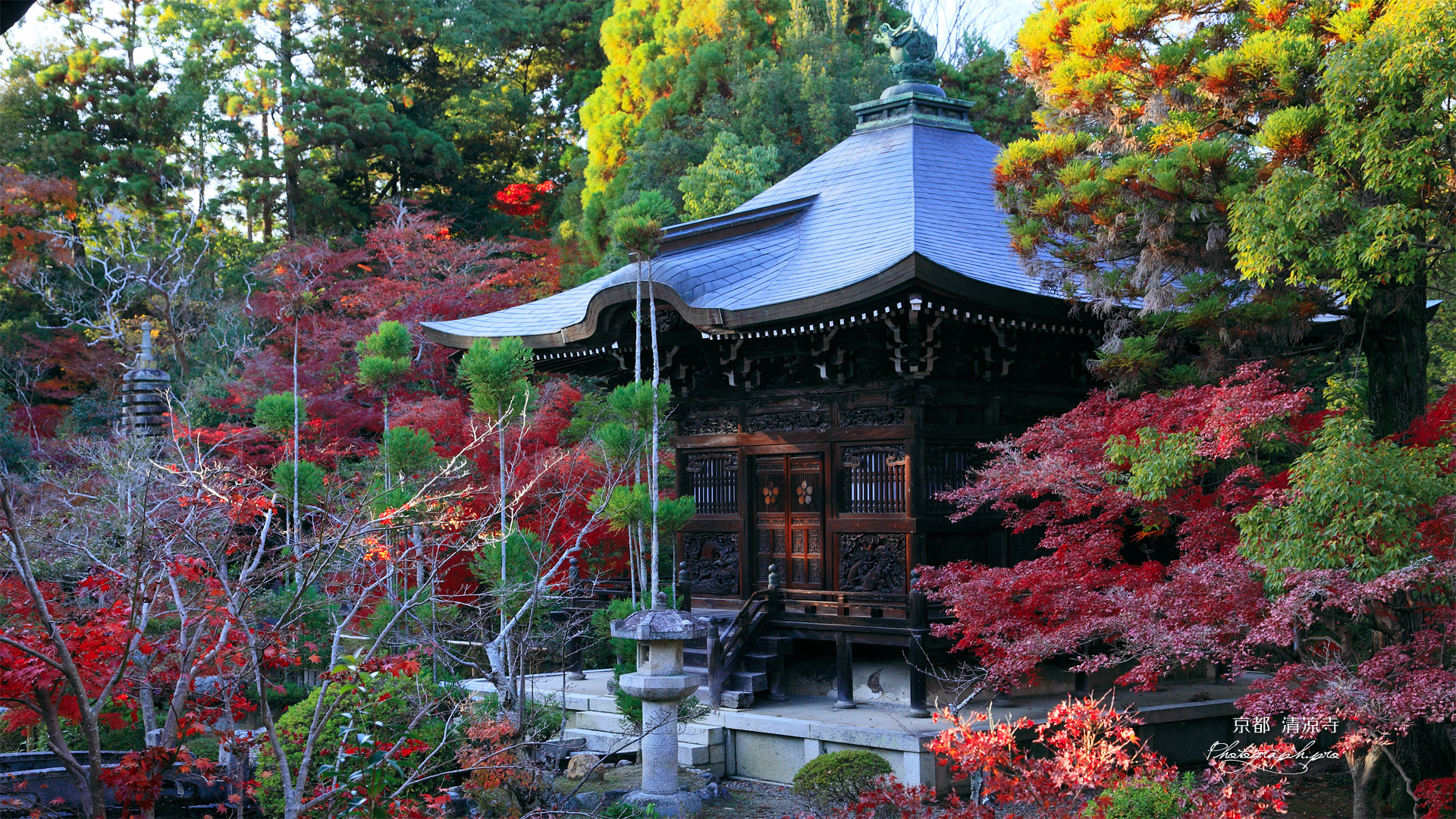 清凉寺 弁天堂の紅葉