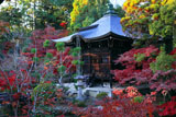 清凉寺 弁天堂の紅葉