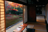 清凉寺 書院から紅葉の庭園