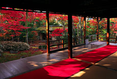 妙心寺大法院