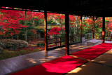 大法院