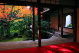 妙心寺桂春院 書院から外露地の紅葉