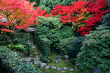 妙心寺桂春院 紅葉の思惟の庭