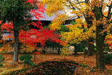 広隆寺