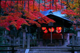京都吉田神社 竹中稲荷社の紅葉