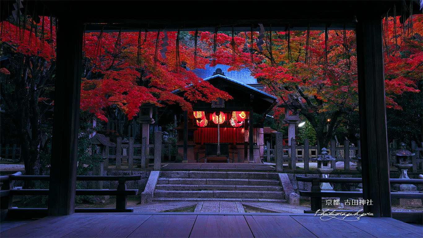 紅葉の竹中稲荷社拝殿から 壁紙