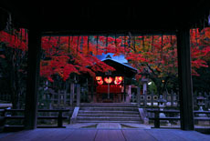 吉田神社