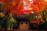 光明寺