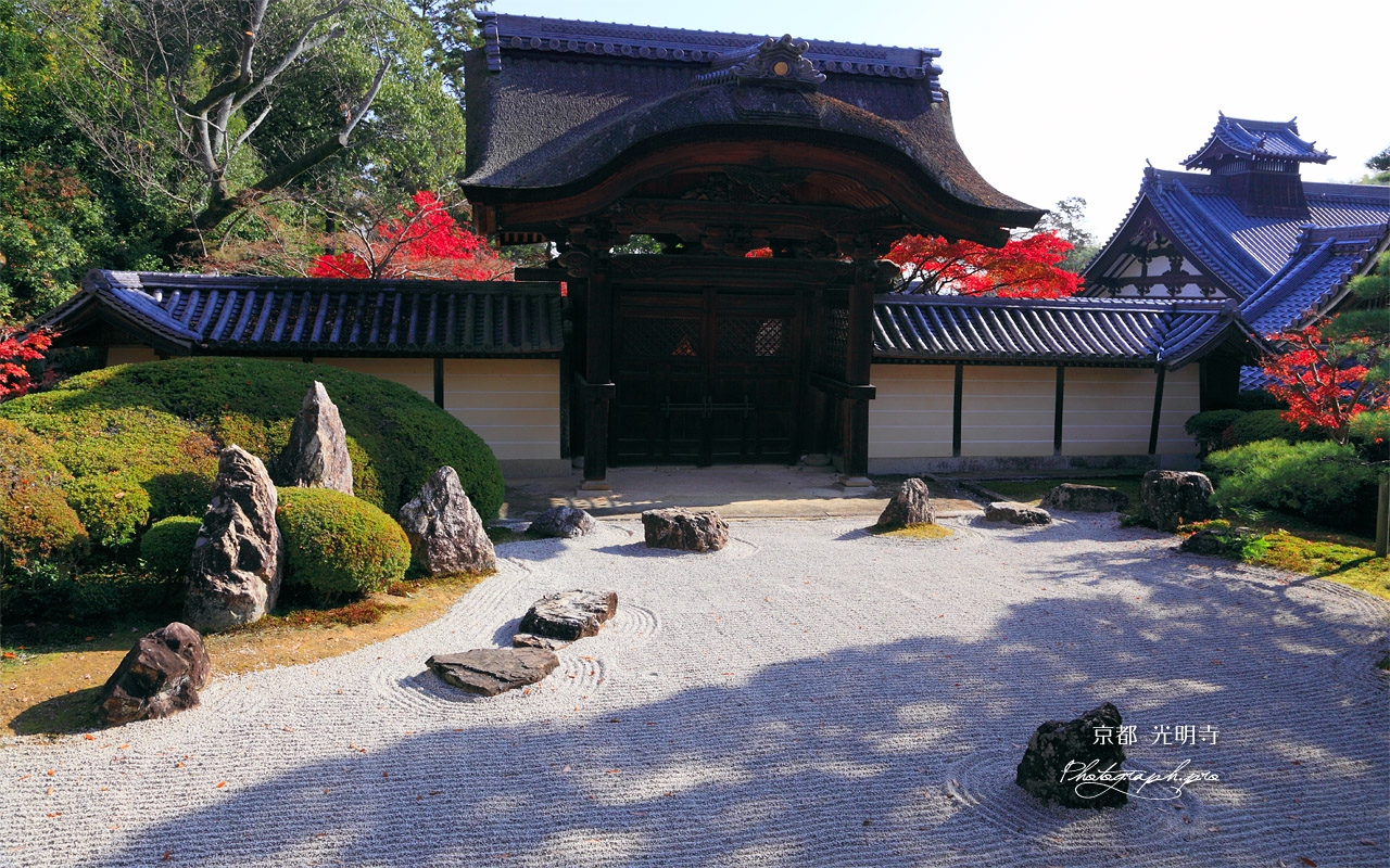 京都光明寺 信楽庭 壁紙