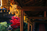 京都光明寺 回廊の吊灯籠と紅葉