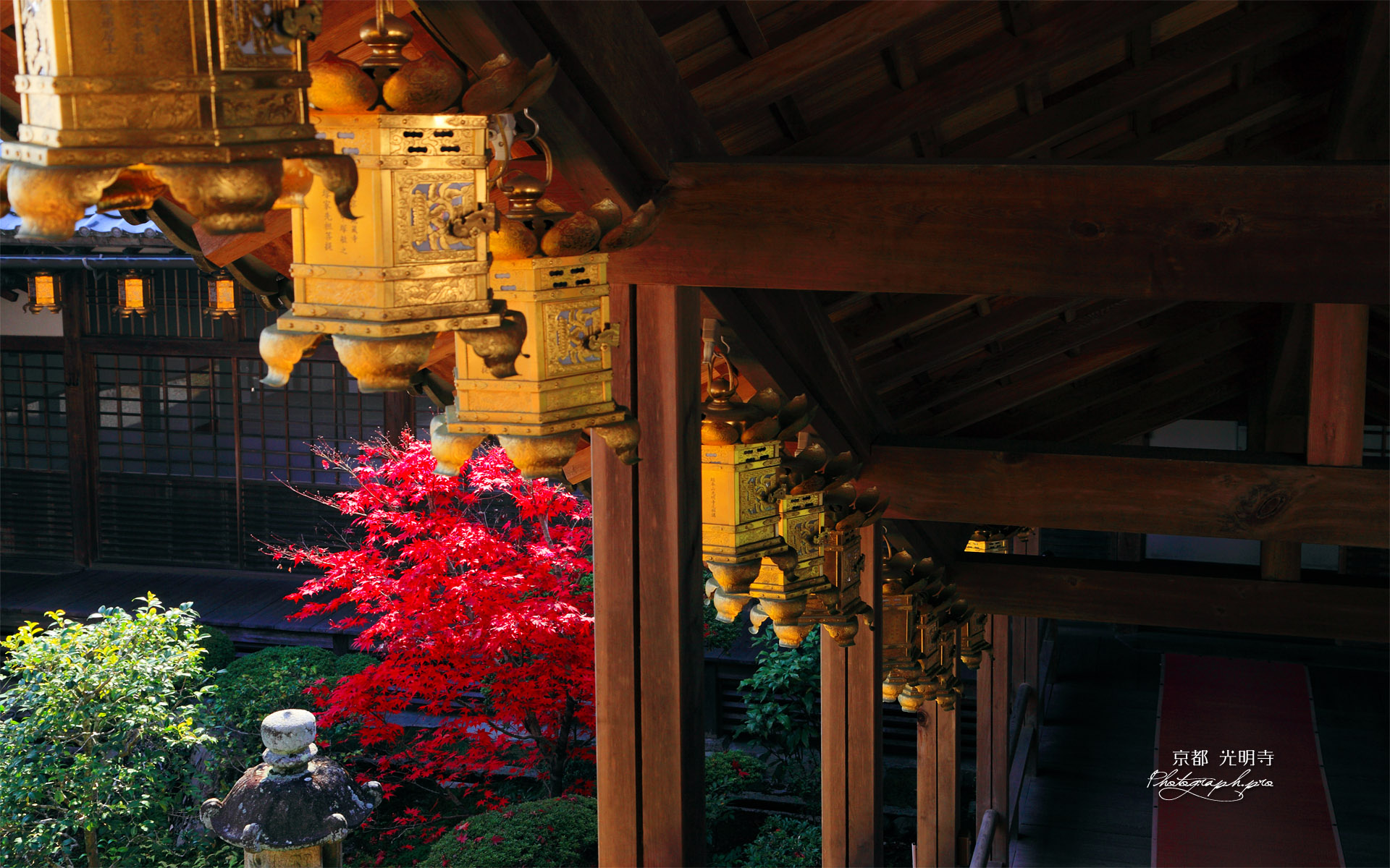 京都光明寺 回廊の吊灯籠と紅葉