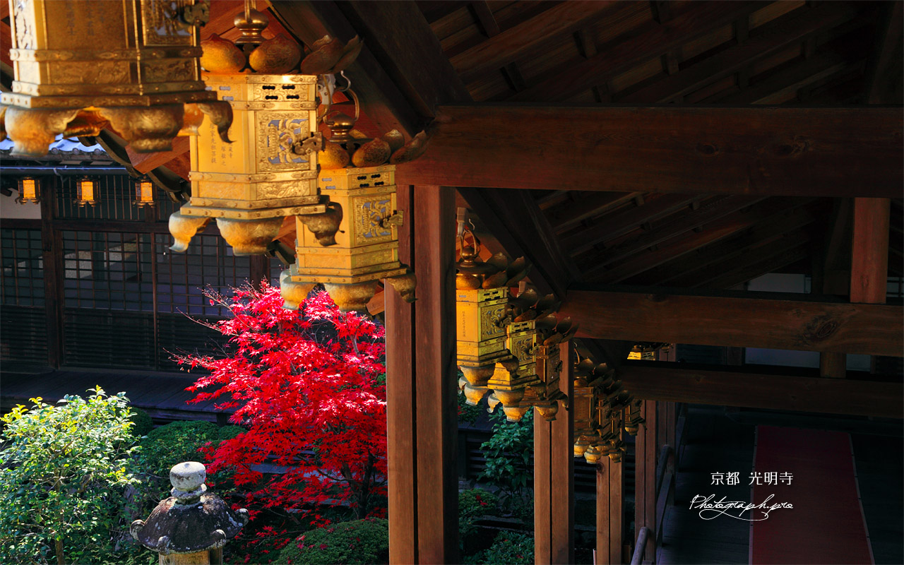 京都光明寺 回廊の吊灯籠と紅葉 壁紙