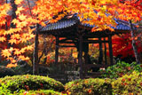 京都勝持寺 紅葉の鐘楼