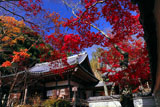 京都勝持寺 紅葉の本堂