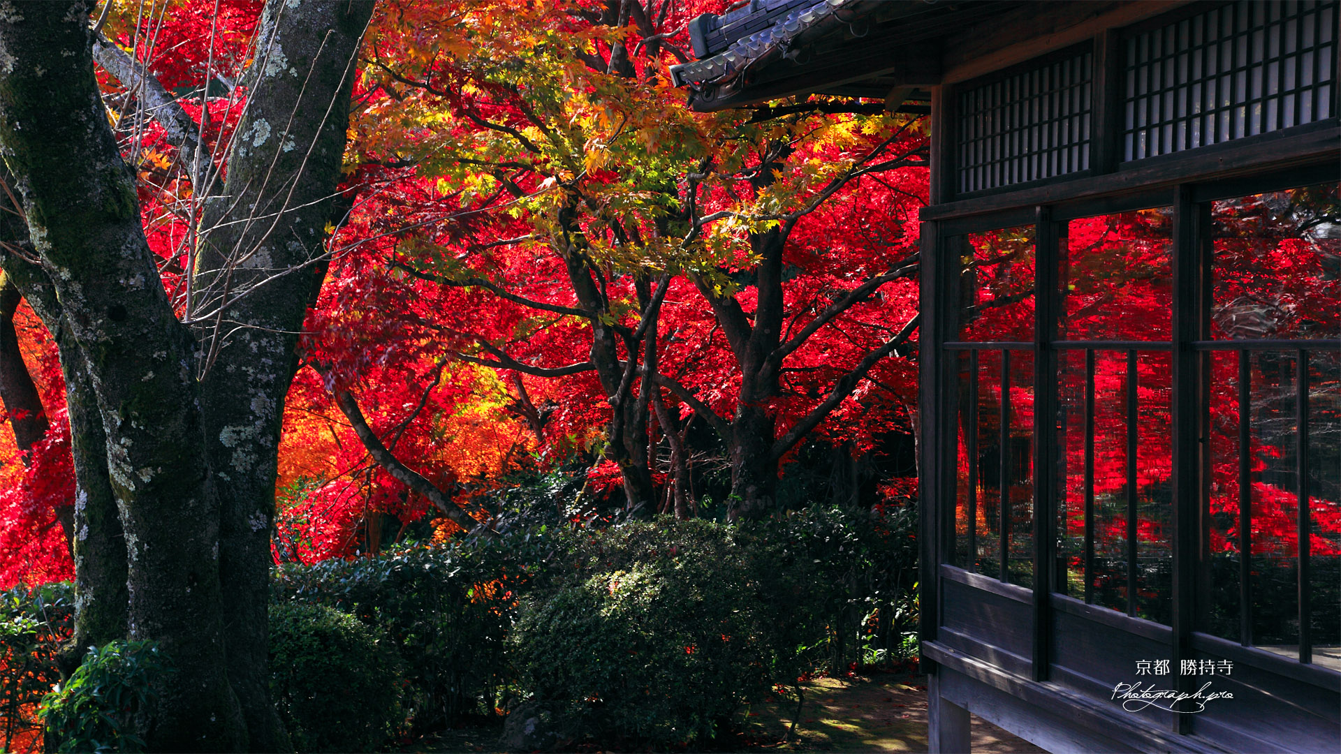 京都勝持寺 紅葉の高遠閣