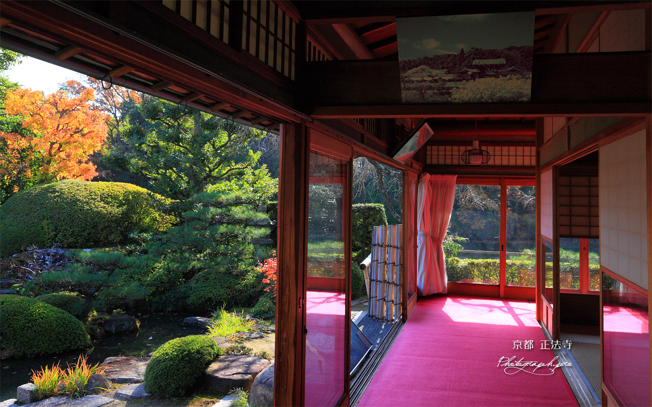 京都正法寺 宝生殿から黄葉の宝生苑 壁紙