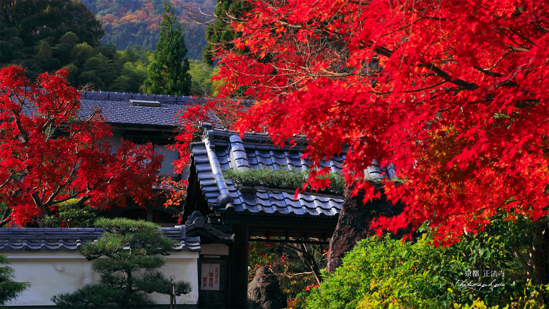 京都正法寺 紅葉の山門