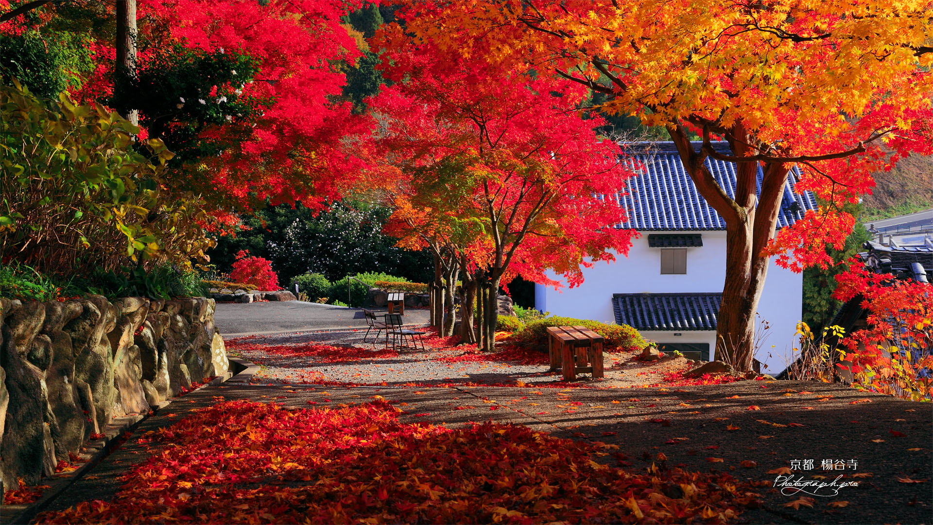紅葉の楊谷寺参道と寺宝庫