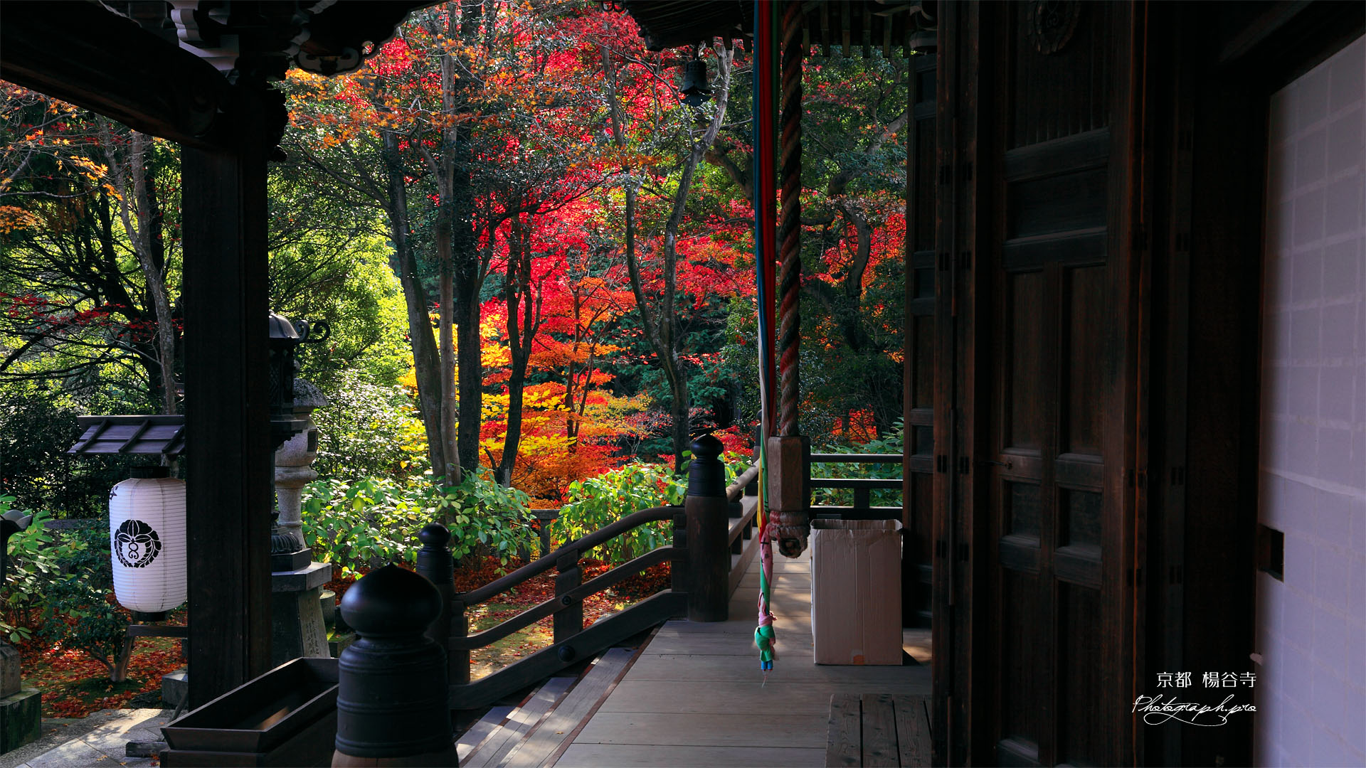 楊谷寺奥ノ院と紅葉