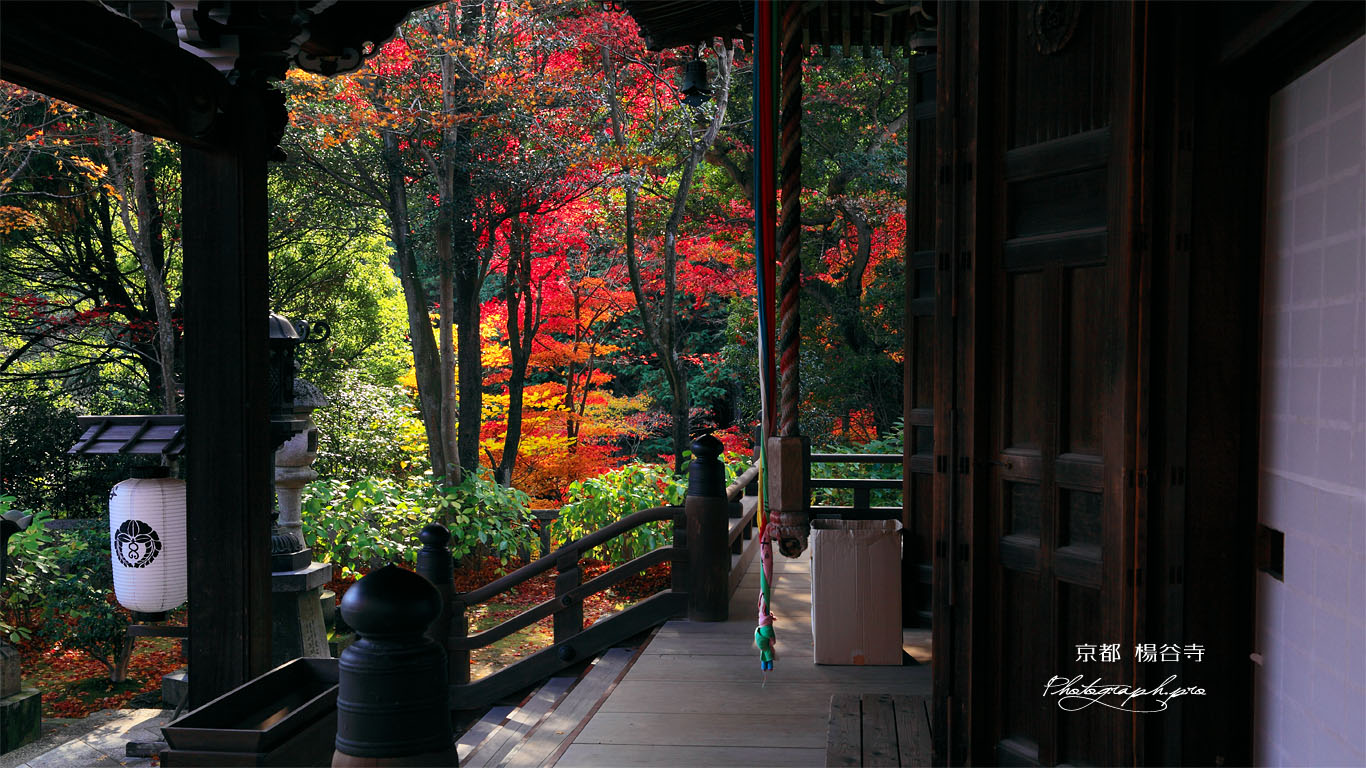 楊谷寺奥ノ院と紅葉 壁紙
