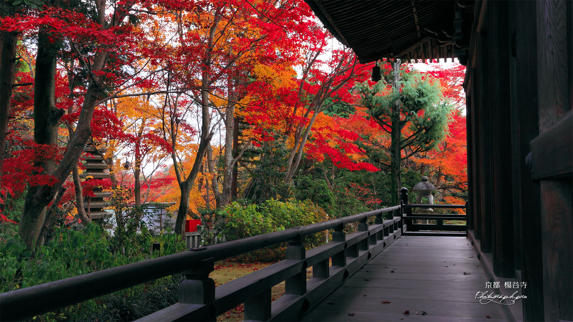 楊谷寺奥ノ院の紅葉