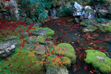 楊谷寺浄土苑の散り紅葉