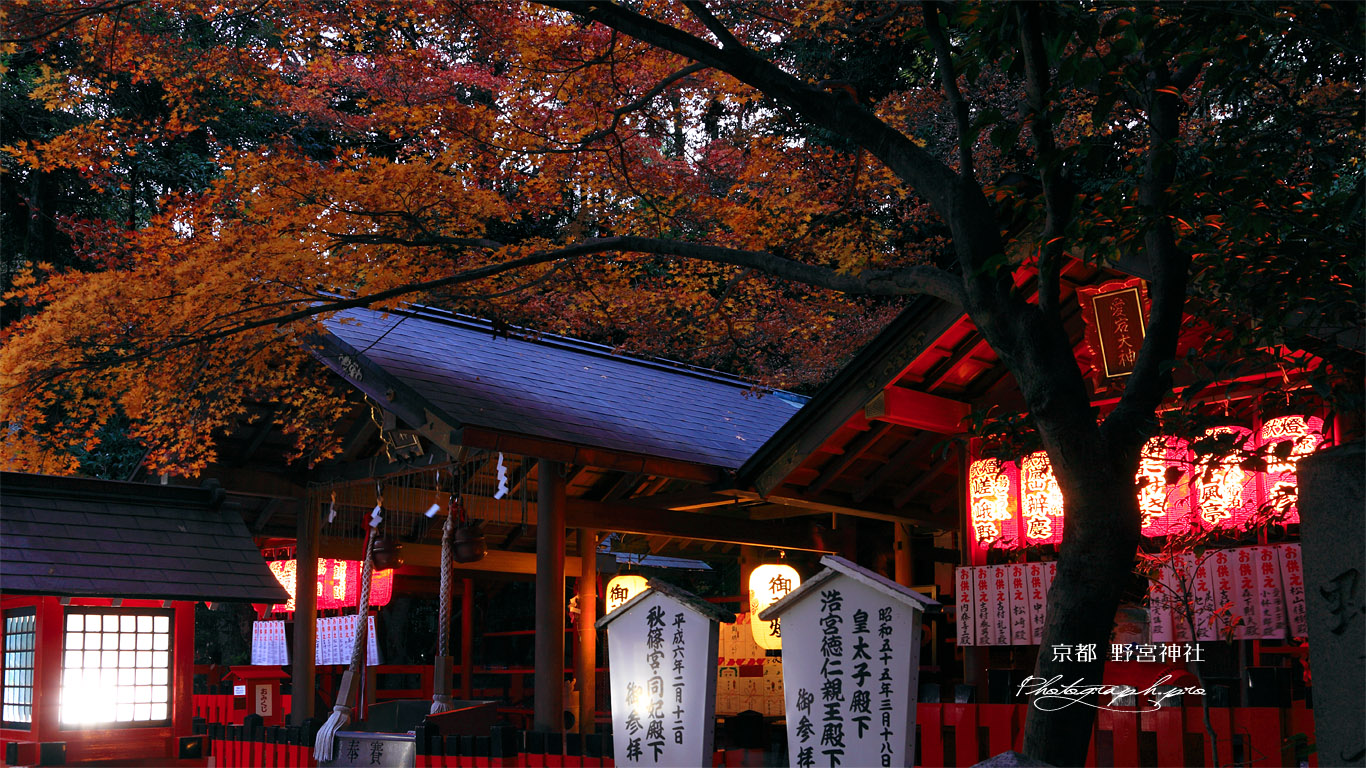 京都野宮神社 紅葉の愛宕社 壁紙