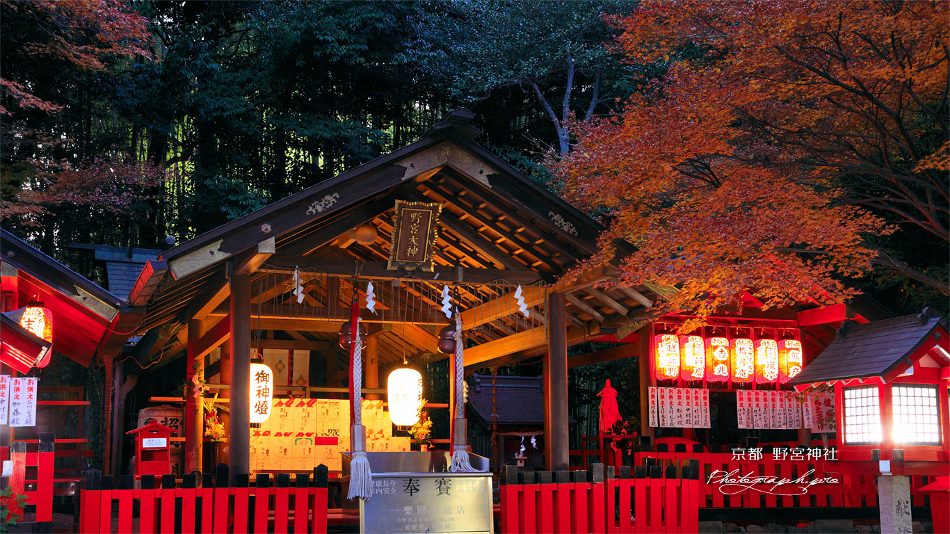 京都野宮神社 紅葉の本殿 壁紙