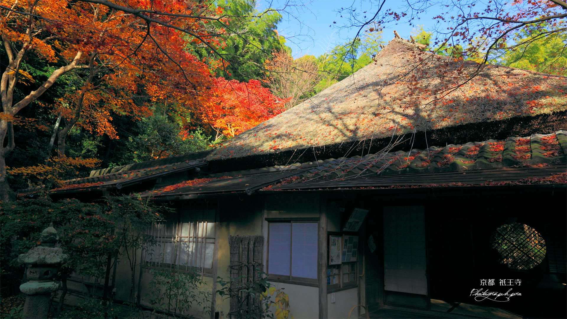 祇王寺 紅葉と吉野窓