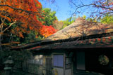 祇王寺 紅葉と吉野窓