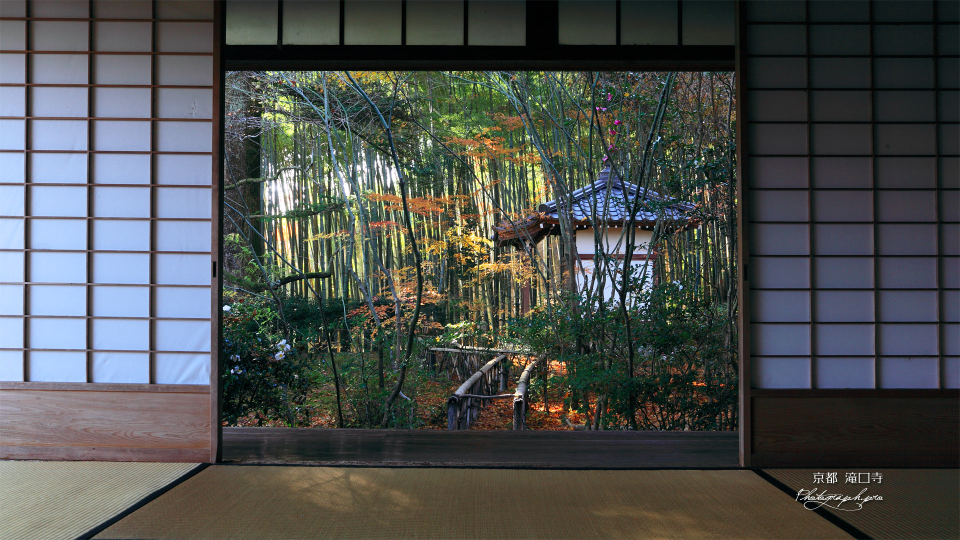 滝口寺 本堂から紅葉と小松堂