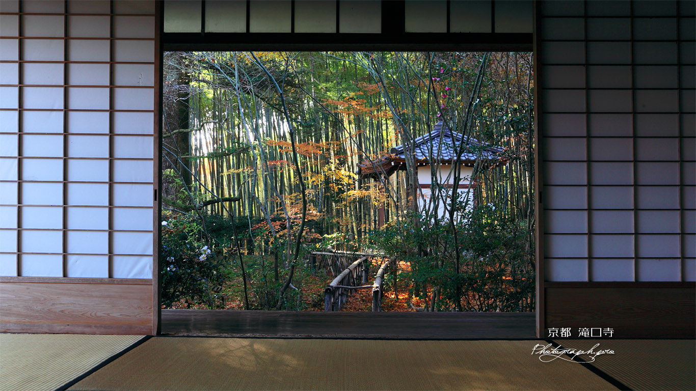 滝口寺 本堂から紅葉と小松堂 壁紙