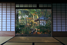滝口寺