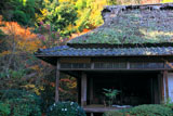 滝口寺 錦秋の本堂