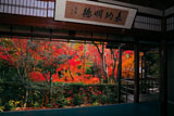 京都直指庵の方丈から