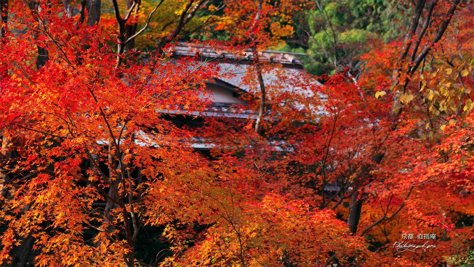 紅葉越しの京都直指庵