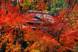 紅葉越しの京都直指庵