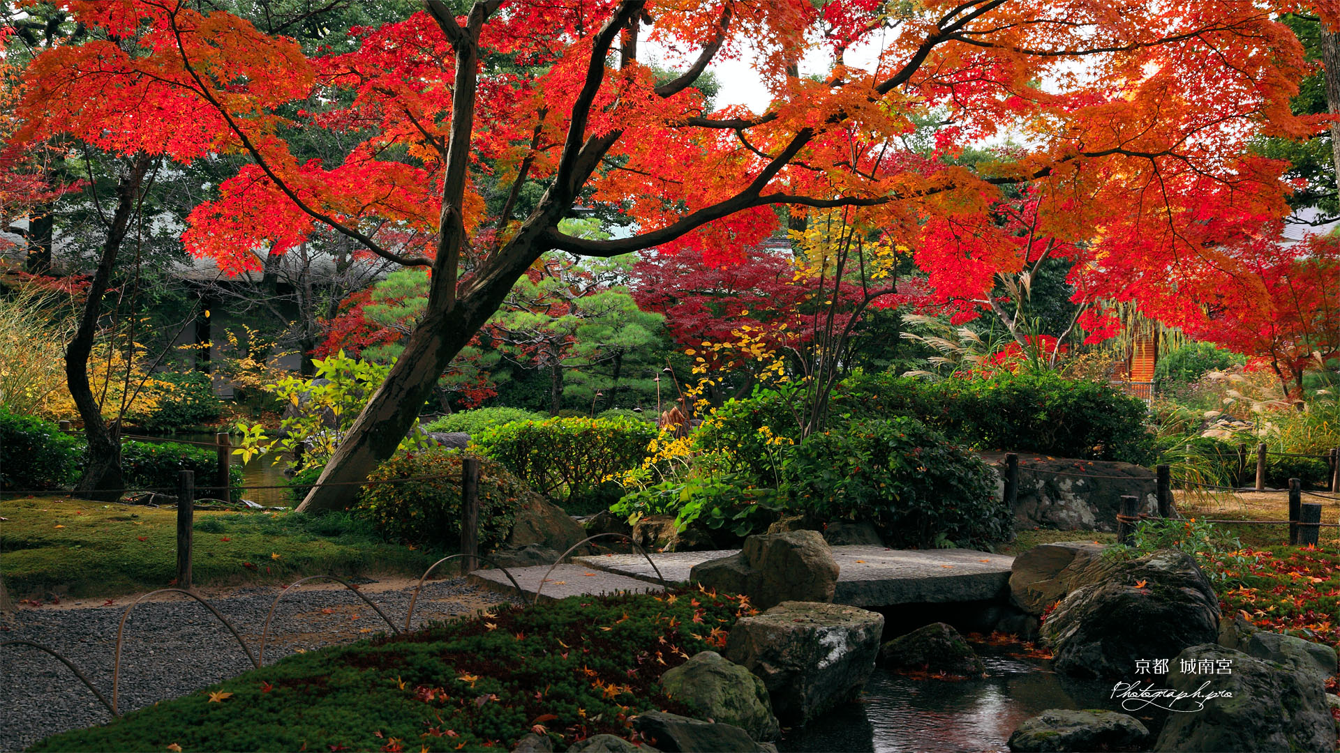城南宮平安の庭の紅葉
