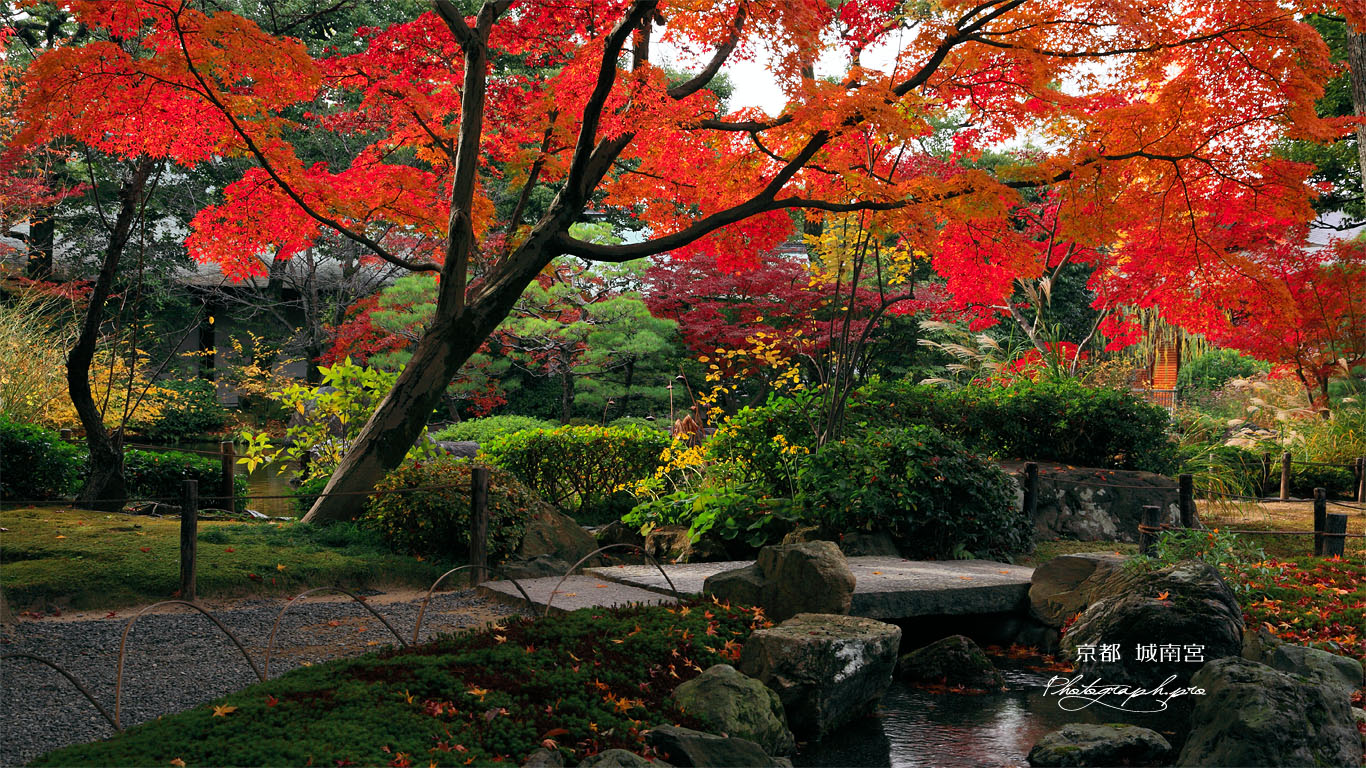 城南宮平安の庭の紅葉 壁紙
