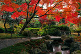 城南宮平安の庭の紅葉