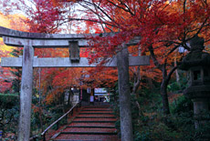山科聖天
