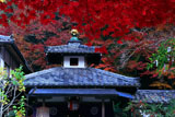 山科聖天 紅葉と不動堂