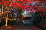 紅葉の毘沙門堂参道と勅使門