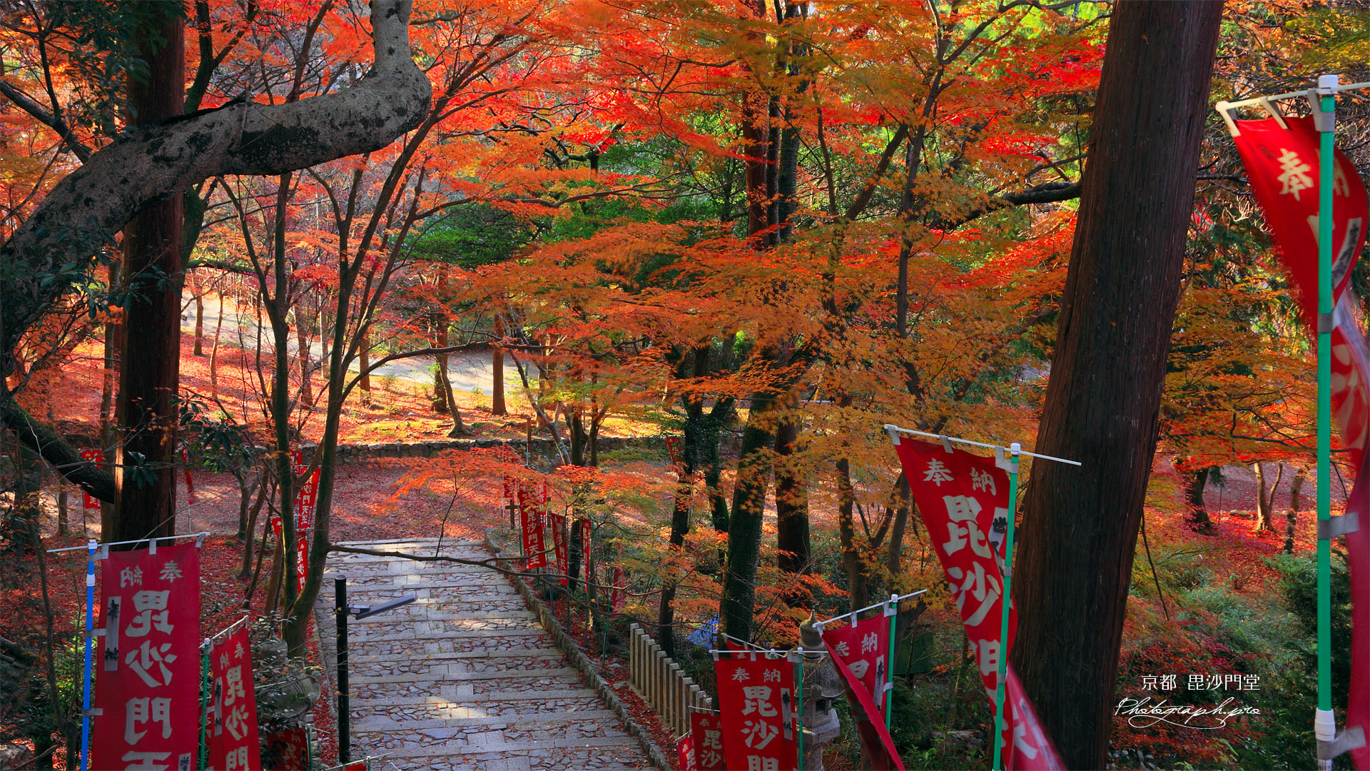 毘沙門堂 仁王門からの紅葉