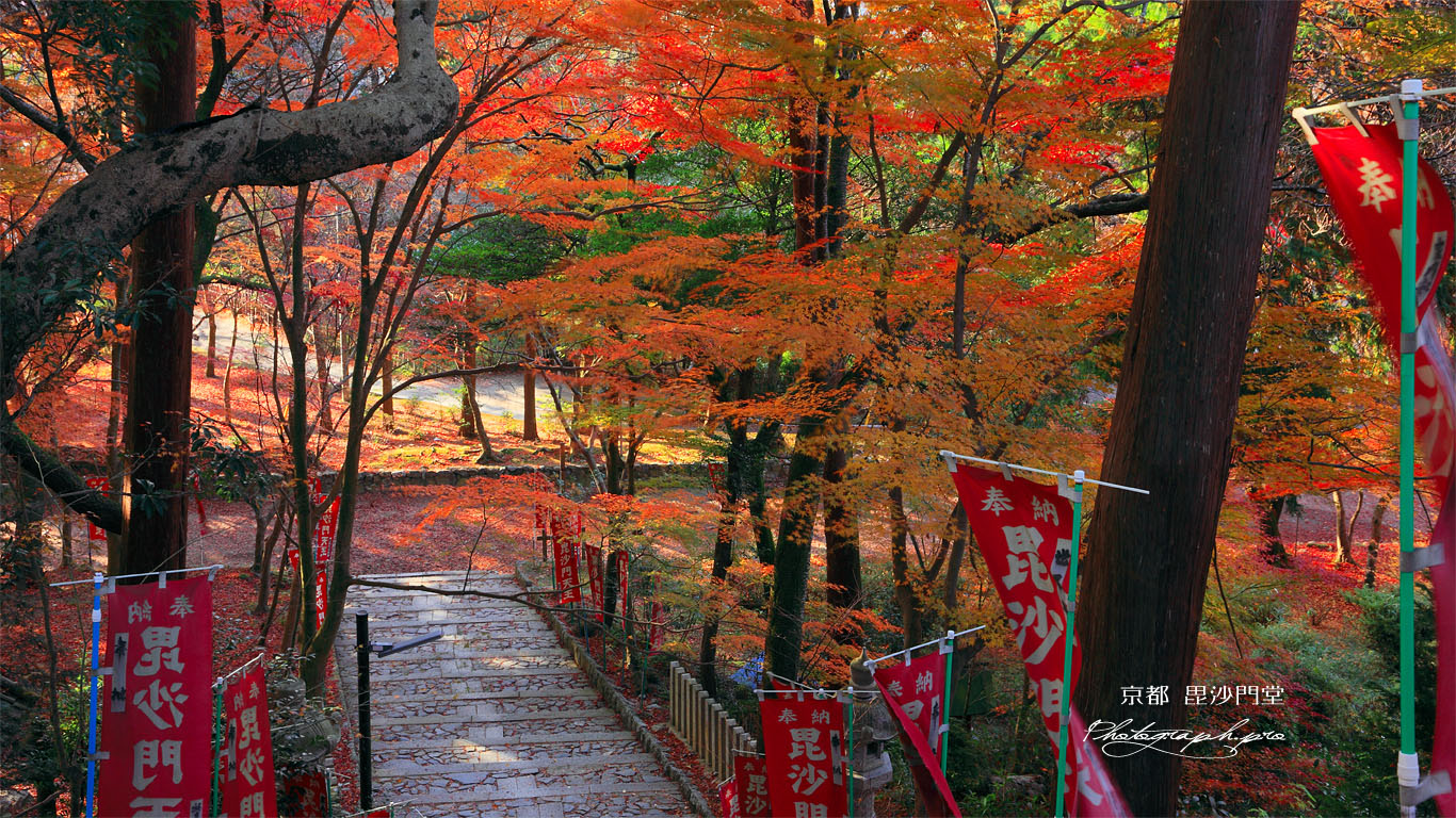 毘沙門堂 仁王門からの紅葉 壁紙