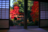 毘沙門堂 梅の間から紅葉の晩翠園