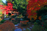 京都毘沙門堂 晩翠園の紅葉